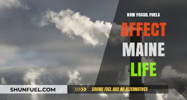 Fossil Fuels' Impact on Maine's Environment, Economy, and Wildlife