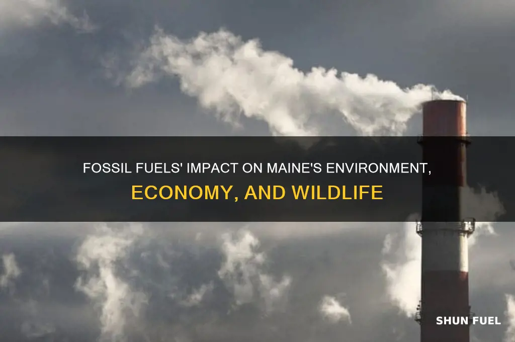 how fossil fuels affect maine life
