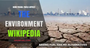 Environmental Impact of Fossil Fuels: A Comprehensive Wikipedia Overview