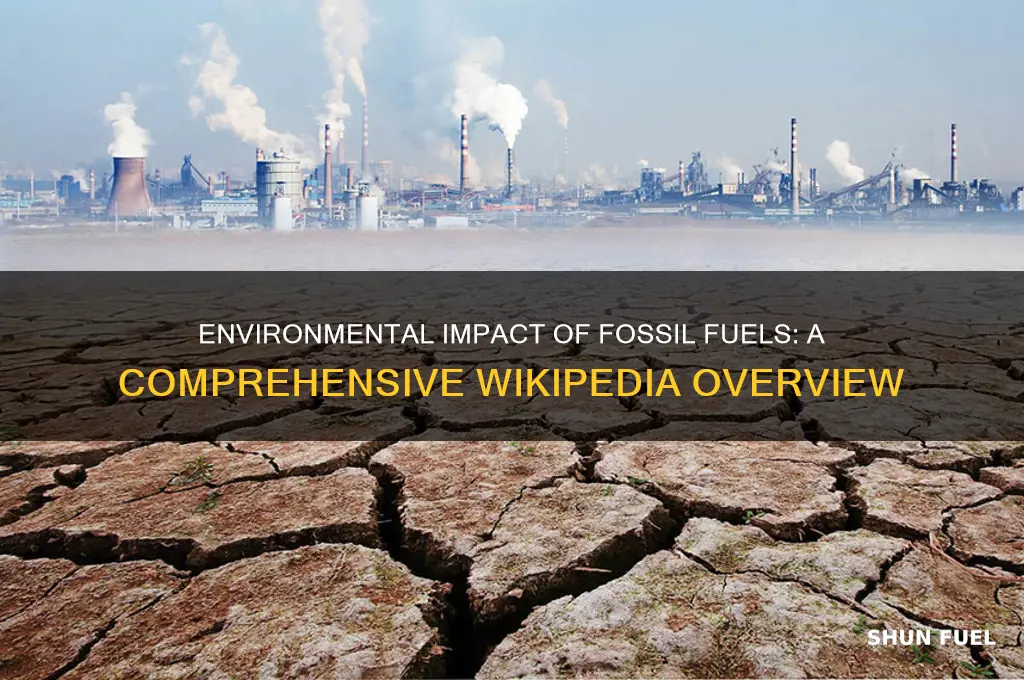 how fossil fuels affect the environment wikipedia