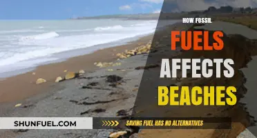 Fossil Fuels' Impact: Eroding Beaches and Coastal Ecosystems