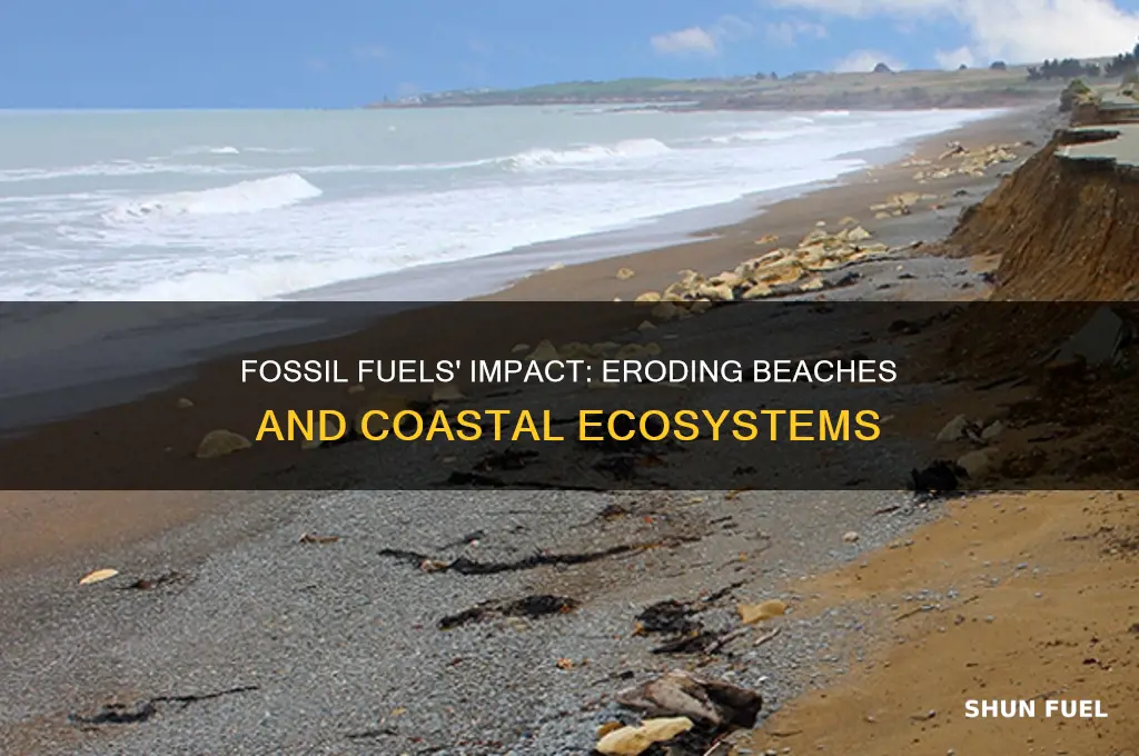 how fossil fuels affects beaches