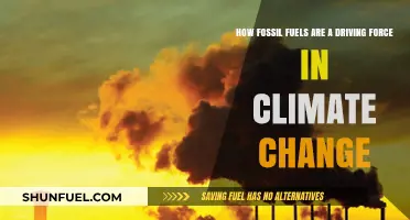 Fossil Fuels: The Hidden Engine of Climate Change Crisis