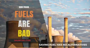 The Devastating Impact of Fossil Fuels on Our Planet's Health