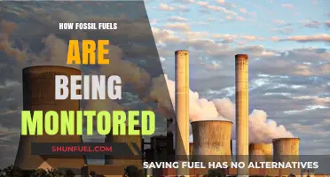 Tracking Emissions: Advanced Monitoring of Fossil Fuel Impact and Trends