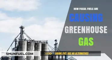Fossil Fuels' Role in Escalating Greenhouse Gas Emissions Explained