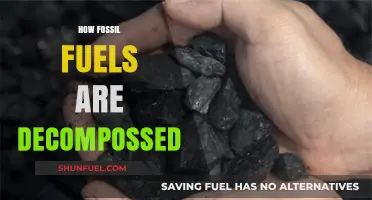 Unraveling the Decomposition Process of Fossil Fuels: A Comprehensive Guide