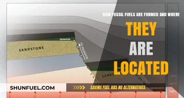 Fossil Fuels: Formation Process and Global Deposits Explained
