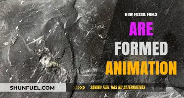 From Ancient Organisms to Energy: The Animated Journey of Fossil Fuels