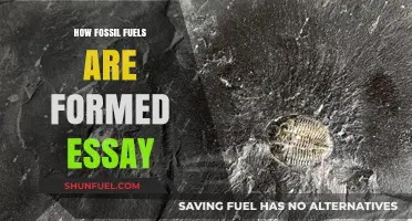The Ancient Process: How Fossil Fuels Are Formed Over Millennia