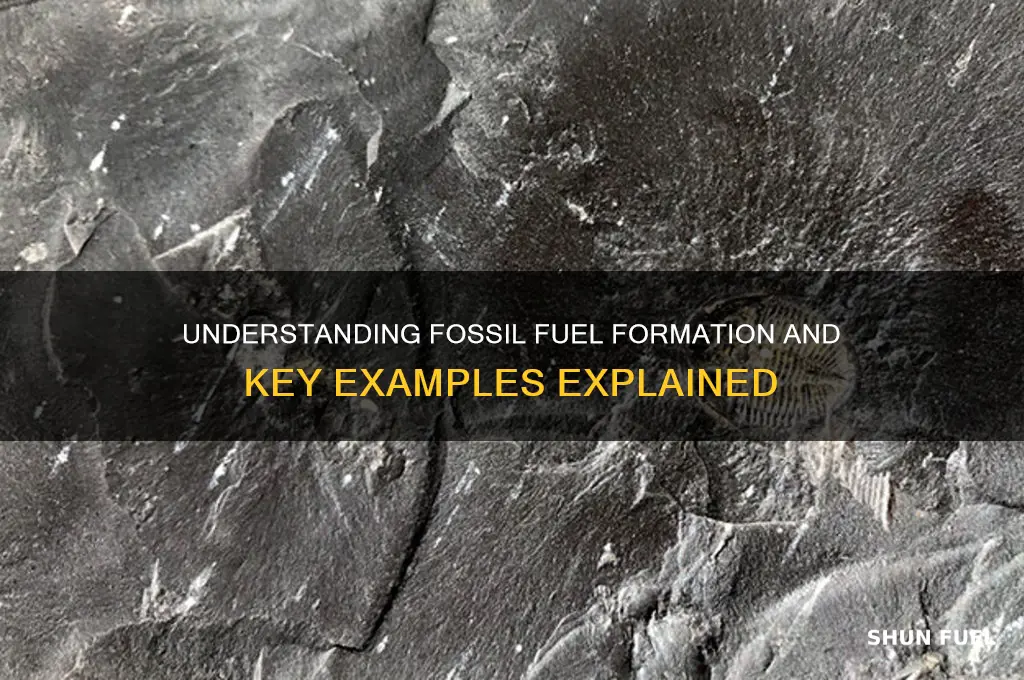 how fossil fuels are formed identify examples of fossil fuels