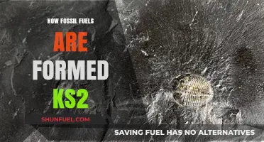 Discovering Fossil Fuels: A KS2 Guide to Their Ancient Formation