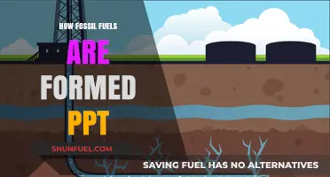 Understanding Fossil Fuel Formation: A Comprehensive PowerPoint Guide
