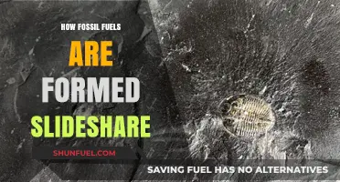 Understanding the Ancient Process: How Fossil Fuels Are Formed