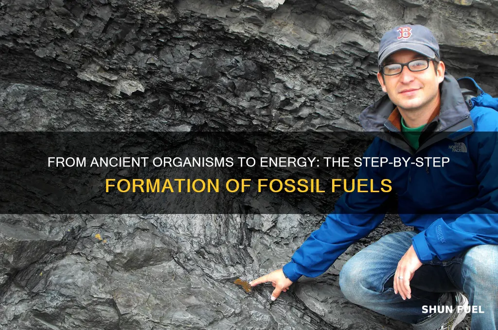 how fossil fuels are formed step by step