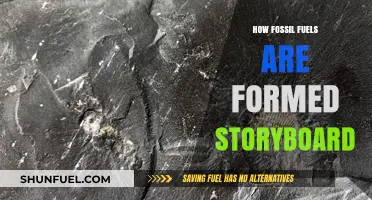 The Ancient Journey: How Fossil Fuels Are Formed Storyboard