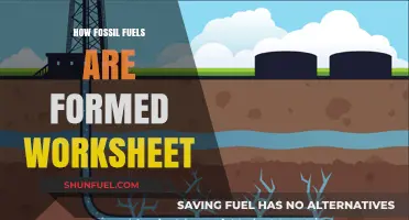 Understanding Fossil Fuel Formation: A Comprehensive Worksheet Guide