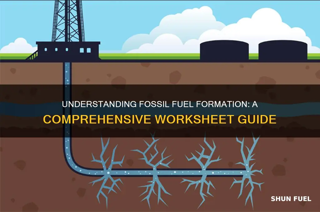 how fossil fuels are formed worksheet