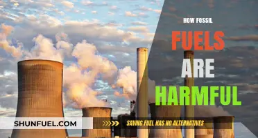 The Devastating Impact of Fossil Fuels on Our Planet's Health