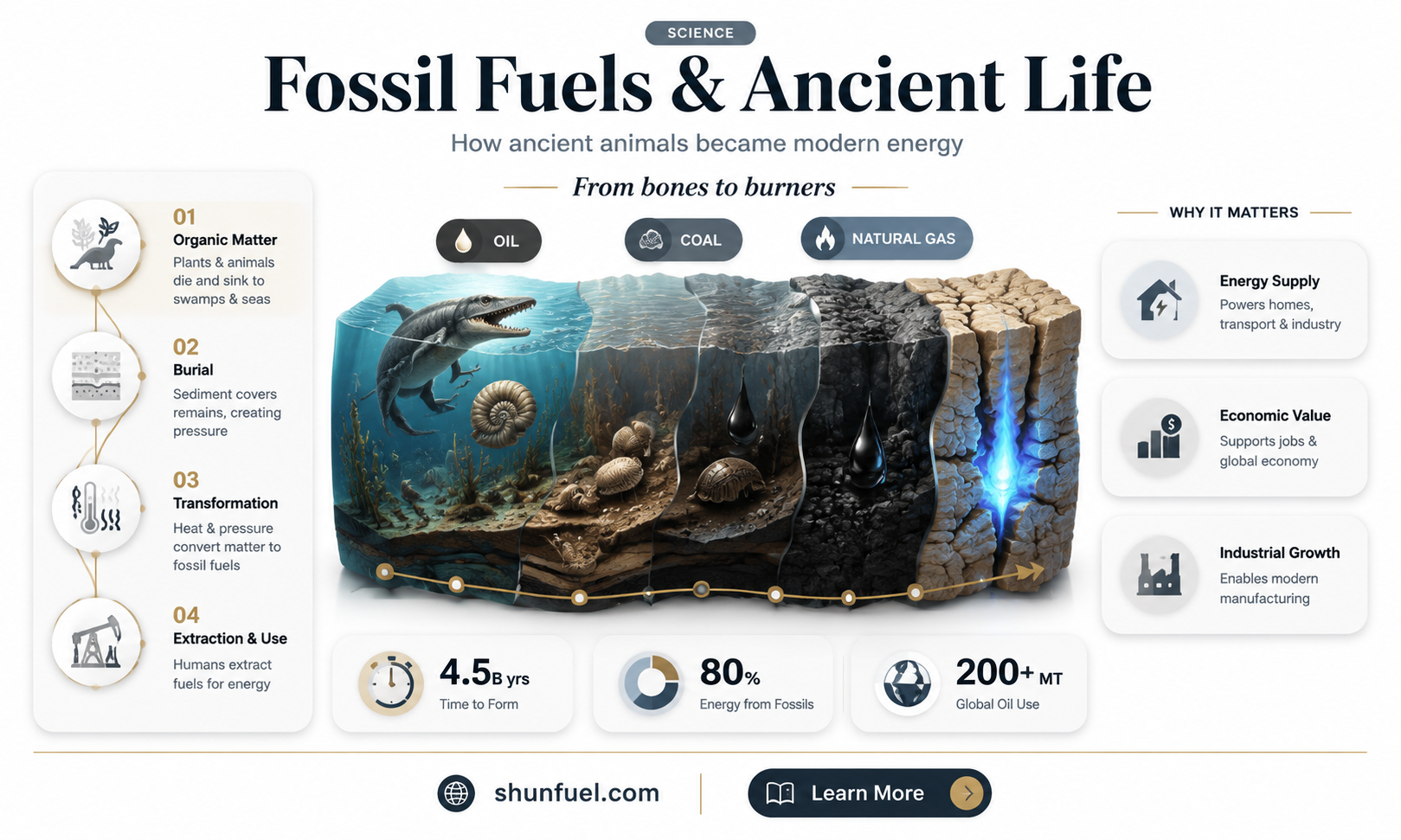 are fossil fuels made from animals