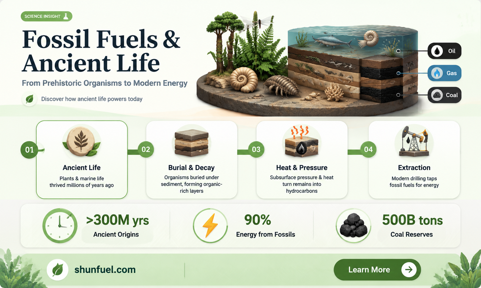 are fossil fuels really from ancient animals and plants