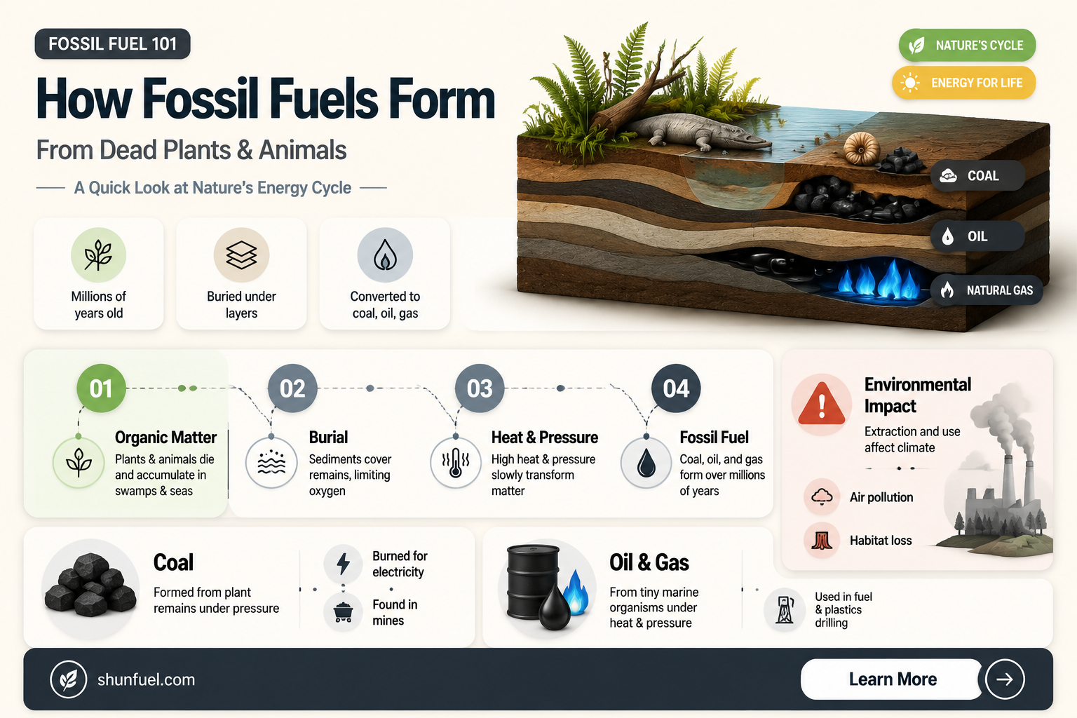 are fossil fuels dead organism cells