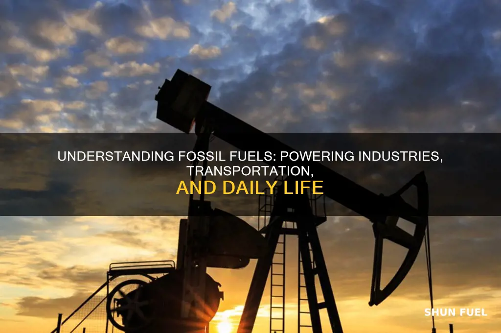 how fossil fuels are used