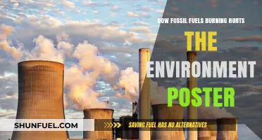 Burning Fossil Fuels: Environmental Damage and Its Devastating Impact