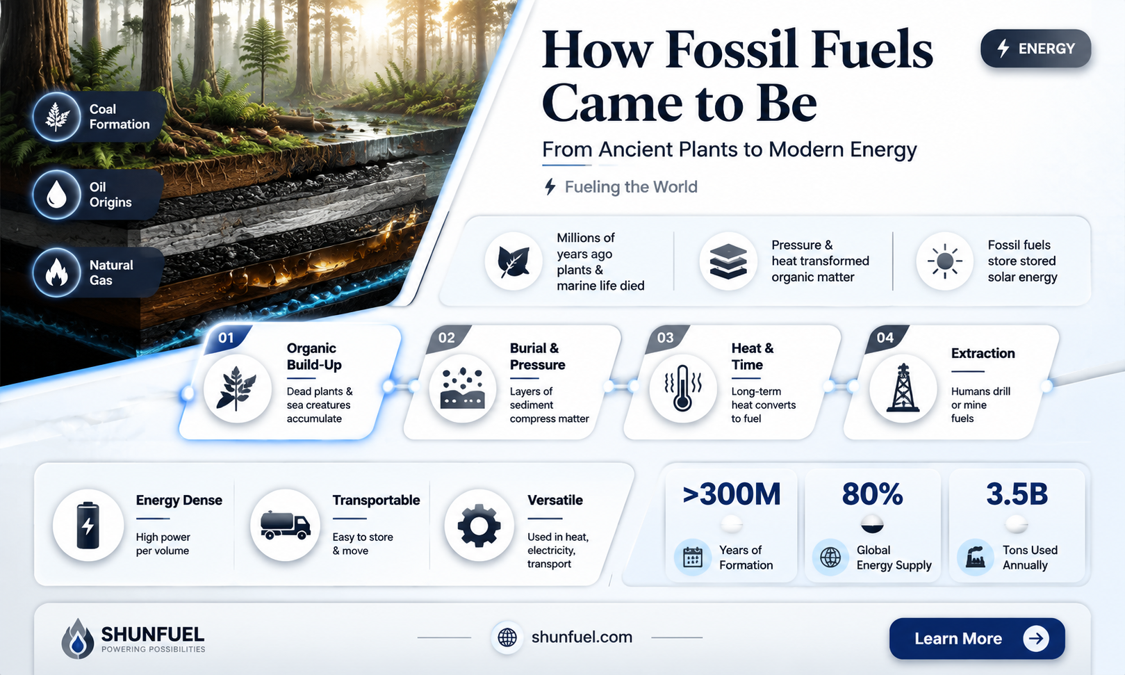 are fossil fuels old plants