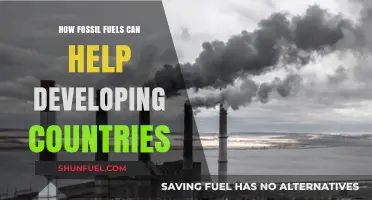 Fossil Fuels: A Bridge to Development for Emerging Economies