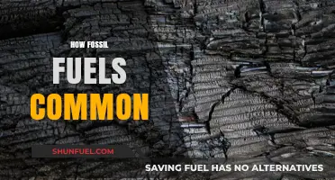 The Ubiquitous Presence of Fossil Fuels in Modern Life