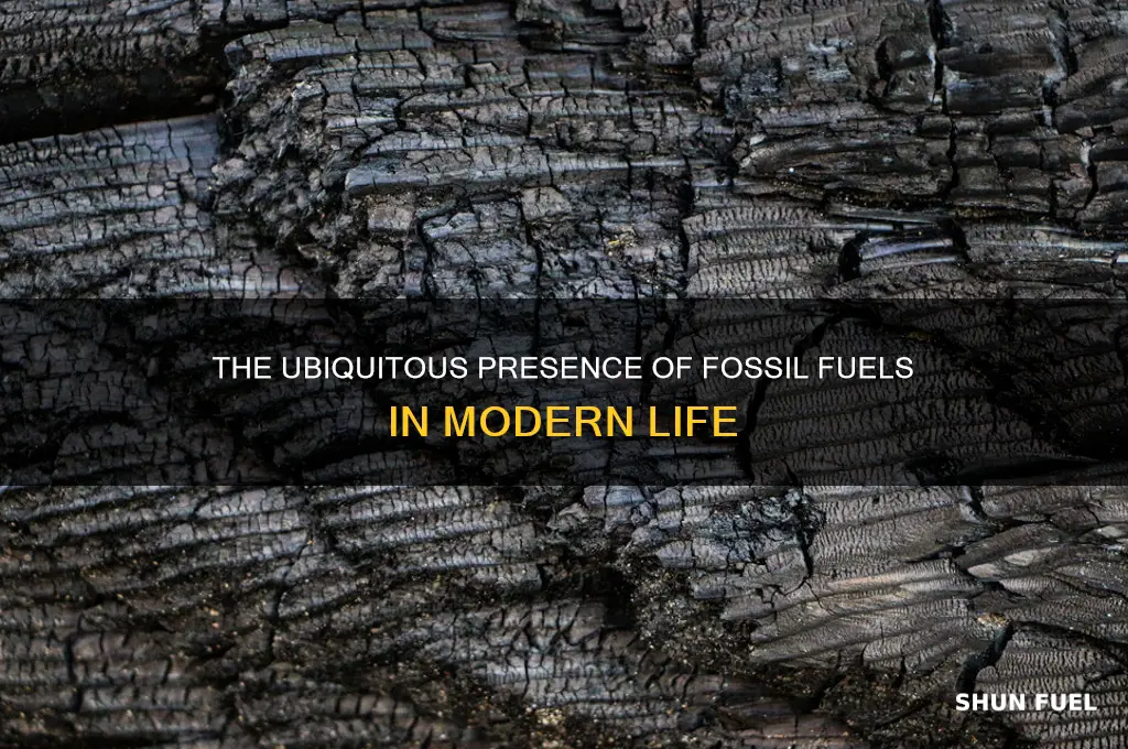 how fossil fuels common