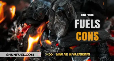 The Hidden Costs of Fossil Fuels: Environmental and Economic Cons