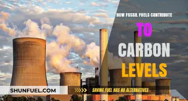 Fossil Fuels' Impact: Rising Carbon Levels and Climate Change