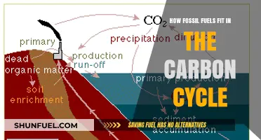 Fossil Fuels' Role in Disrupting Earth's Natural Carbon Cycle