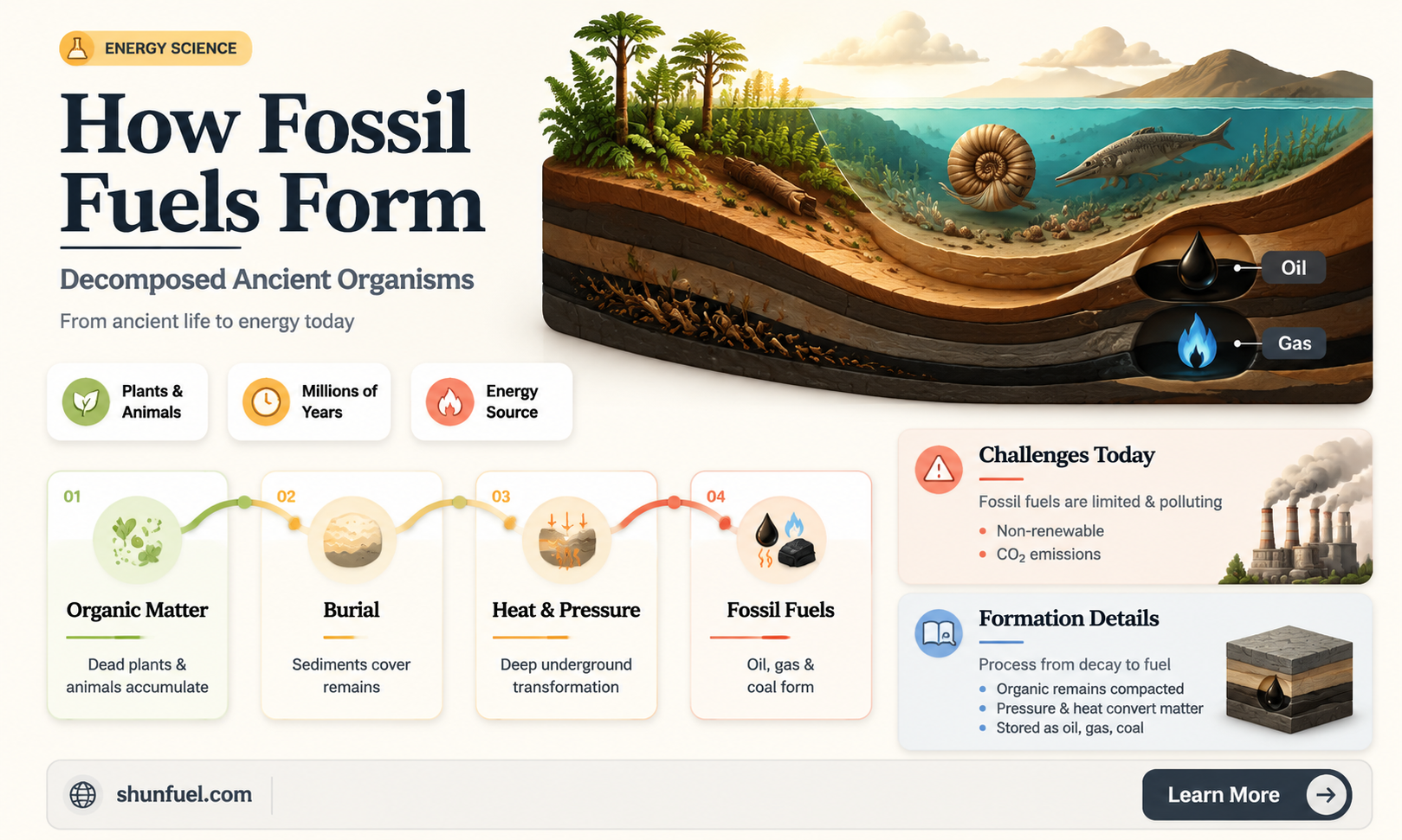 are fossil fuels fully decomposed molecules from old organisms