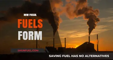 The Evolution of Fossil Fuels: A Historical Perspective