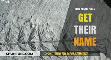 Unveiling the Origins: How Fossil Fuels Earned Their Iconic Name