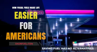 Fossil Fuels: Powering American Convenience and Daily Life