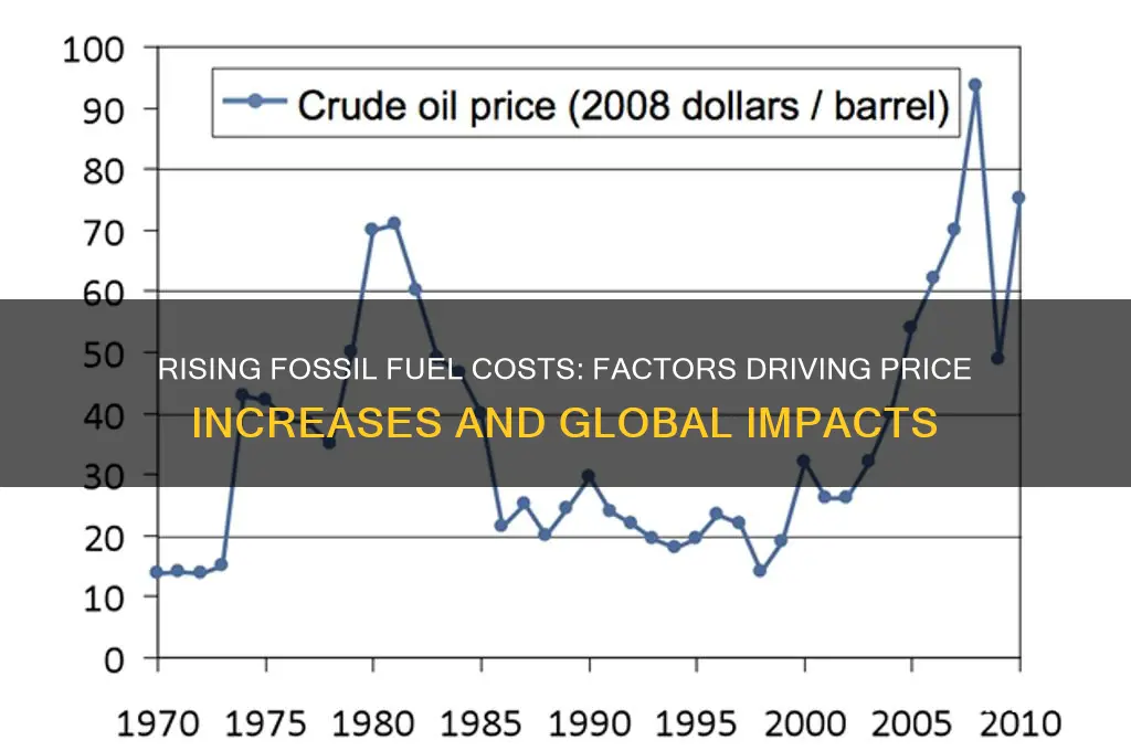 how fossil fuels price would increas