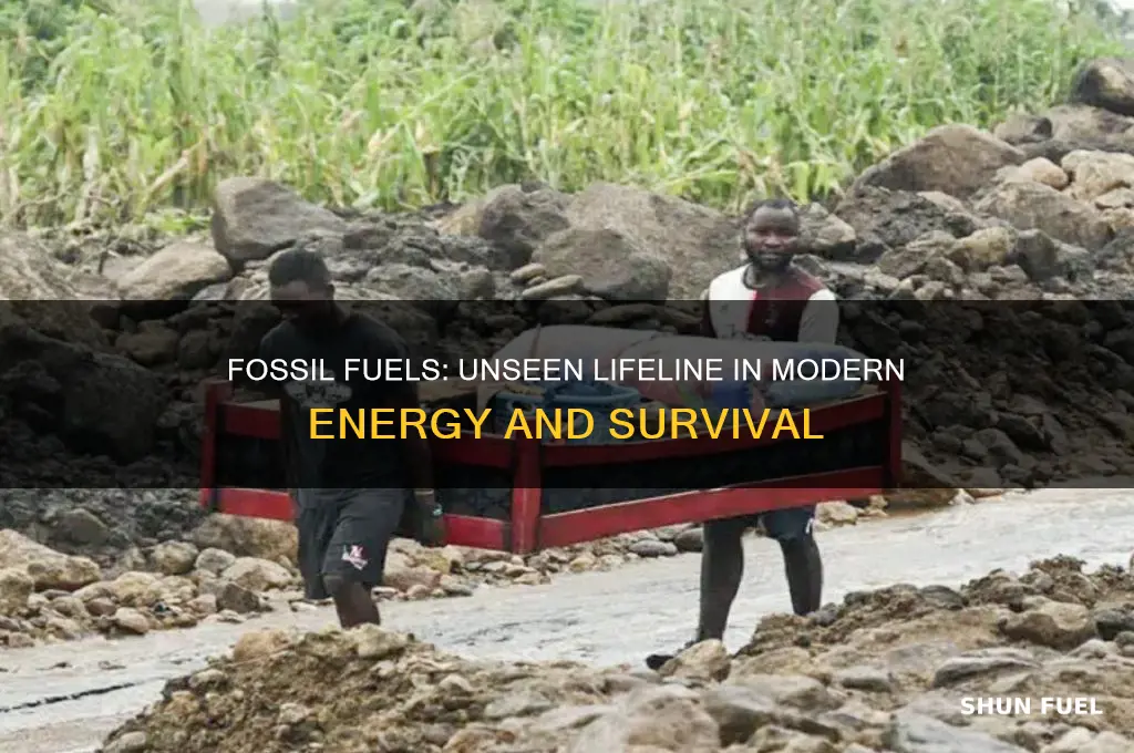 how fossil fuels save lives