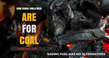Coal's Role: Understanding Fossil Fuel Uses and Impacts