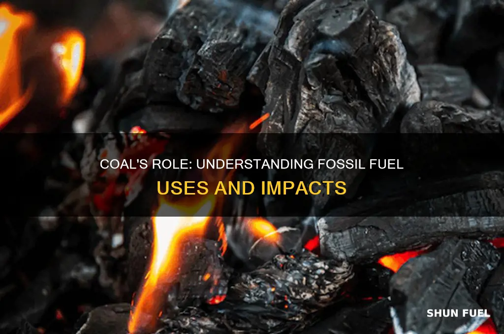 how fossil fuels uses are for coal