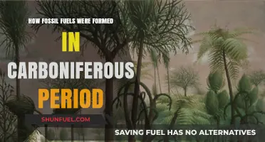 Carboniferous Coal Creation: Unveiling Fossil Fuel Formation Secrets