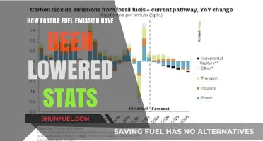 Fossil Fuel Emissions Decline: Key Statistics and Trends Revealed