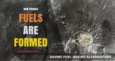 The Ancient Origins of Fossil Fuels: A Journey Through Time