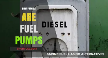 Understanding the Durability and Vulnerability of Fuel Pumps in Vehicles