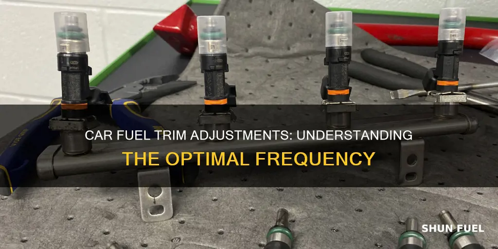 how frequently does a car adjust fuel trim