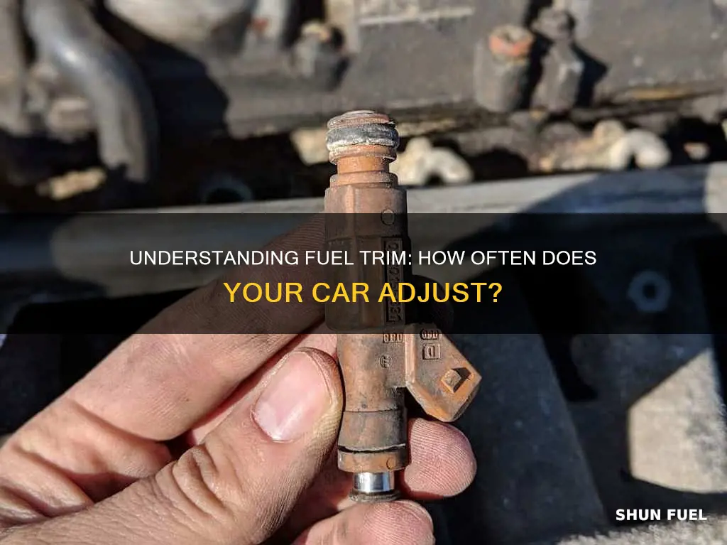 how frequently does a car adjust fuel trim