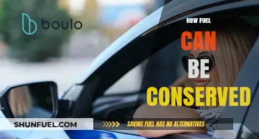 Smart Strategies to Save Fuel and Reduce Environmental Impact